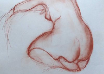 Pierre-Henri Buestel - Modèle vivant - Sanguine sur papier 50x65 cm